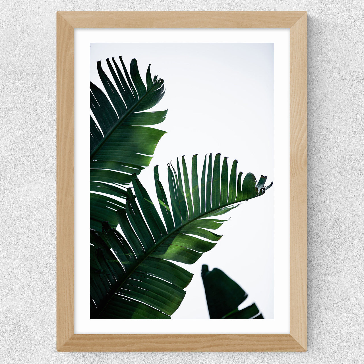 Palm Leaves - INSIDE HOUSE