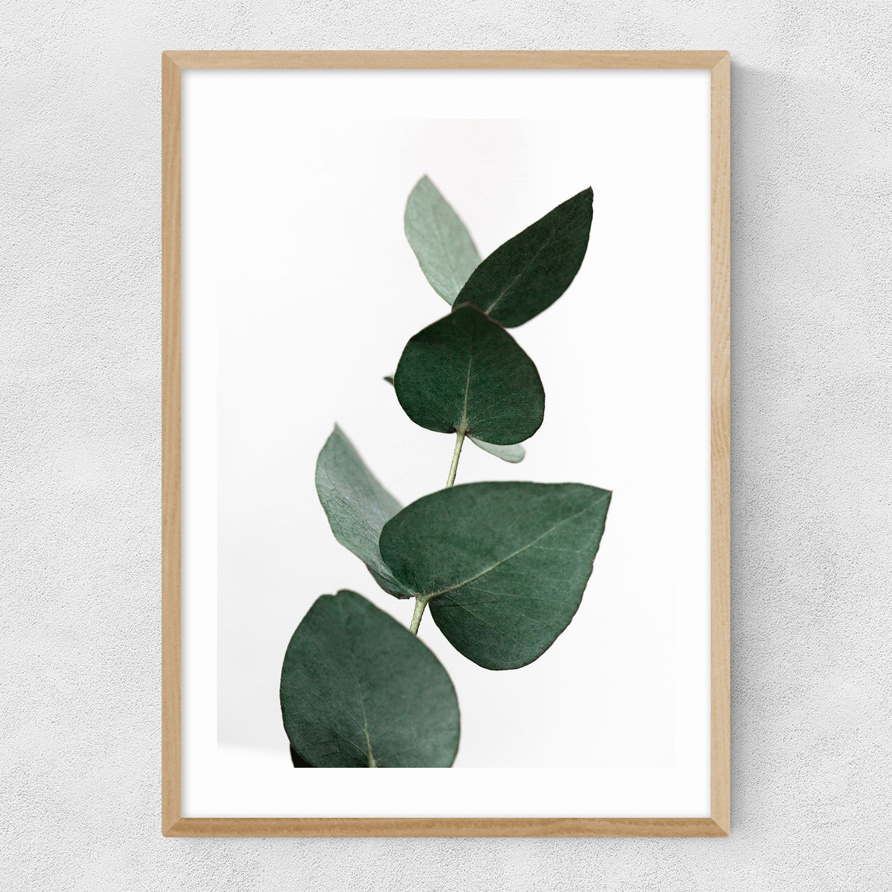 Eucalyptus 4 - INSIDE HOUSE