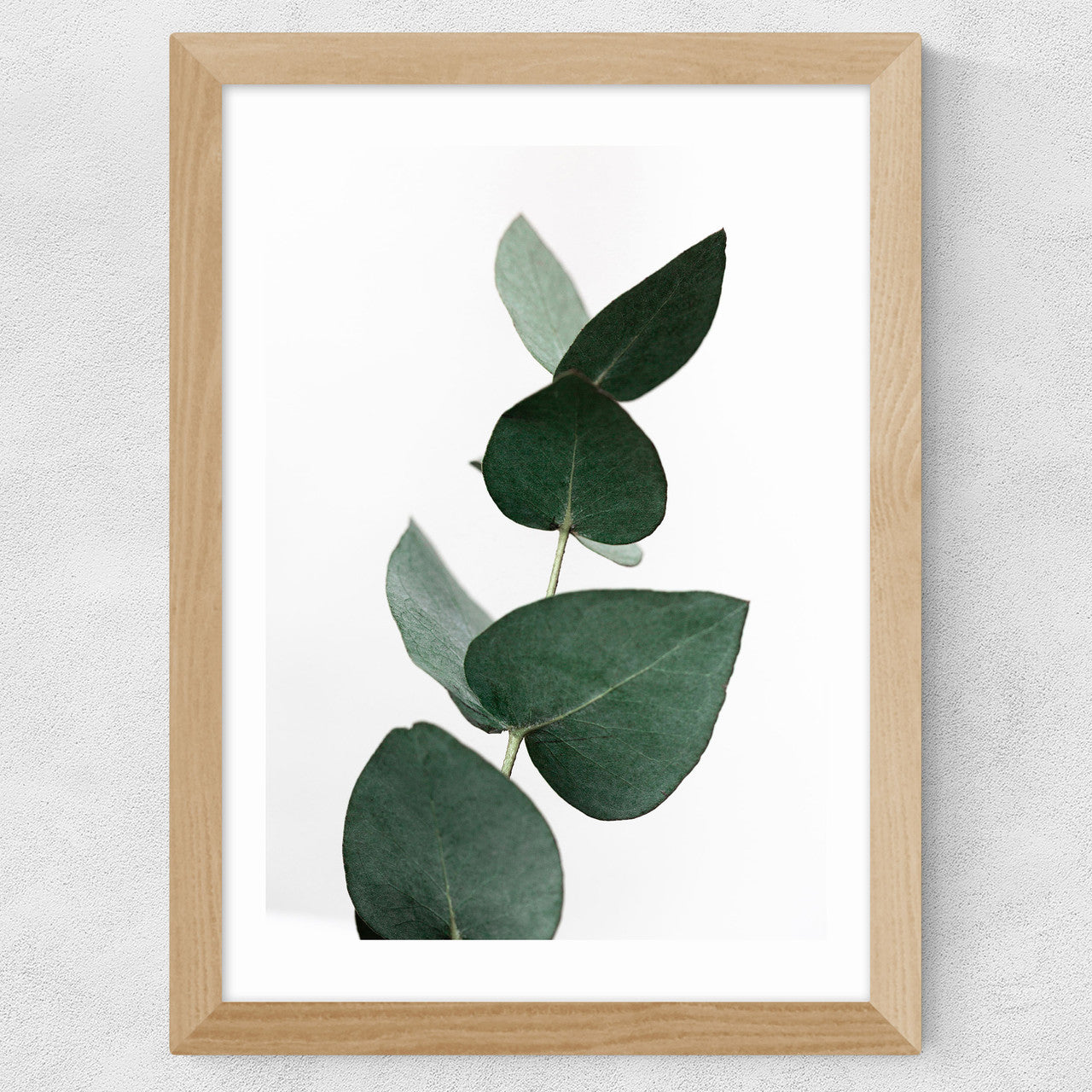 Eucalyptus 4 - INSIDE HOUSE