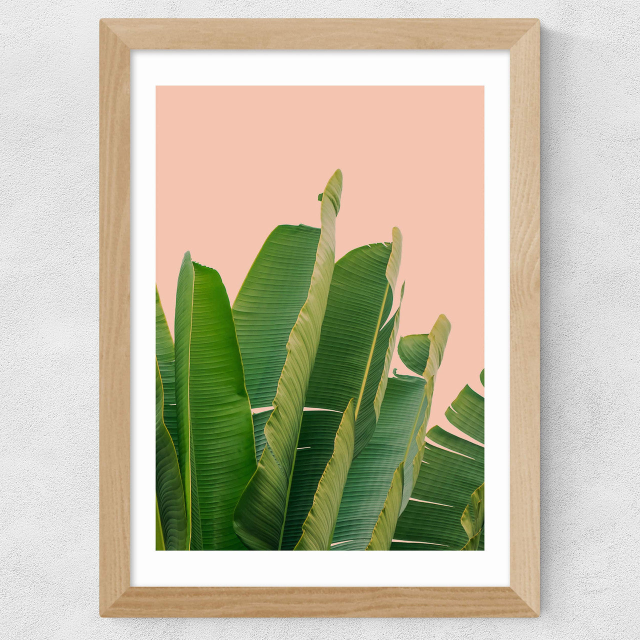 Banana Leaves - INSIDE HOUSE