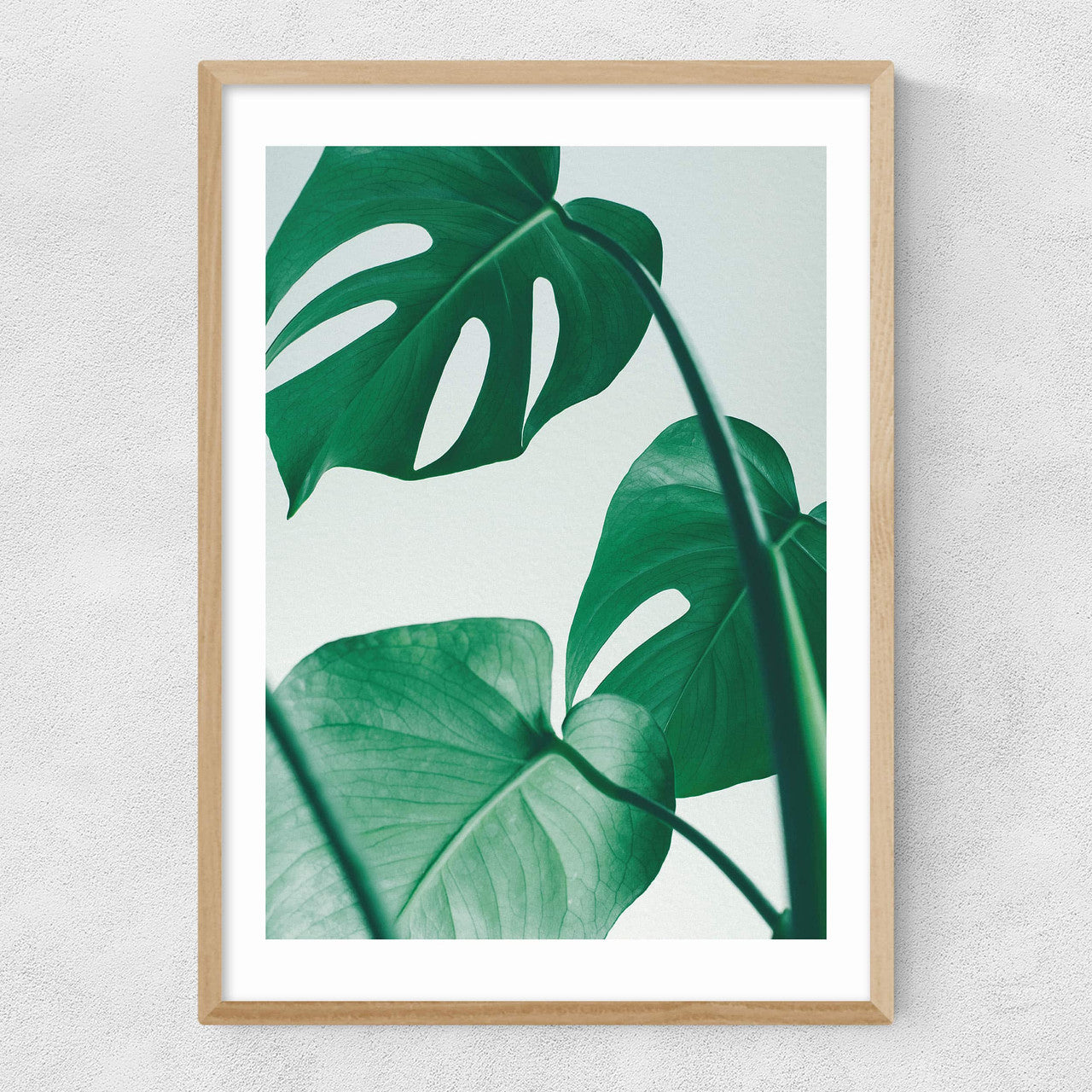 Monstera by Rafael Farias - INSIDE HOUSE