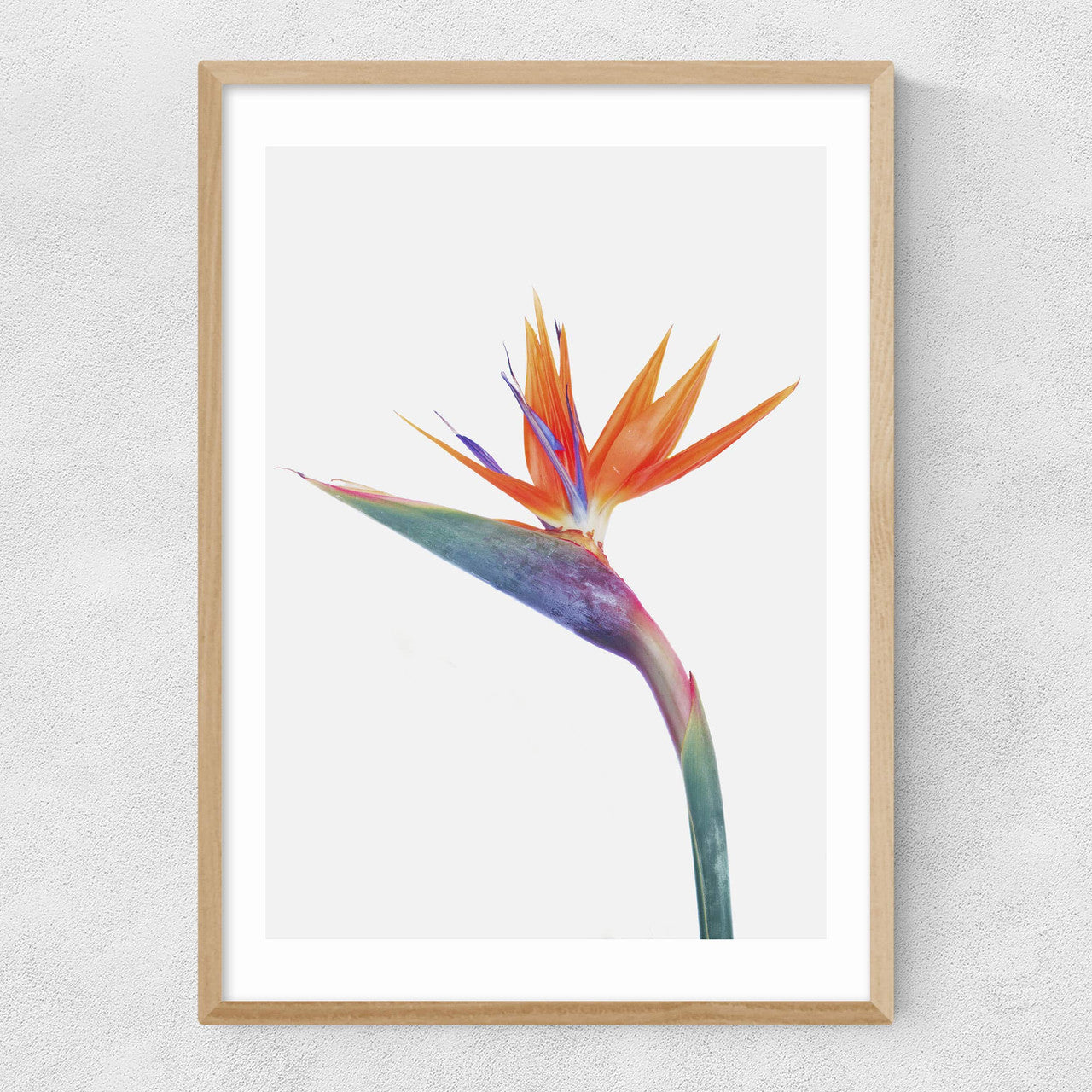 Exuberance - INSIDE HOUSE