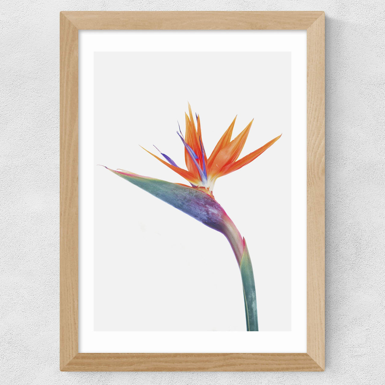 Exuberance - INSIDE HOUSE