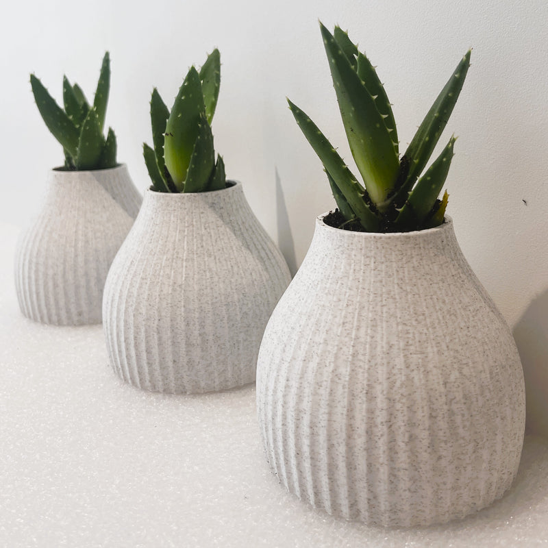 Set of 3 Mini Onion Planters in Marble effect PLA an eco plastic derived from cornstarch, original design, printed in Dorset England.