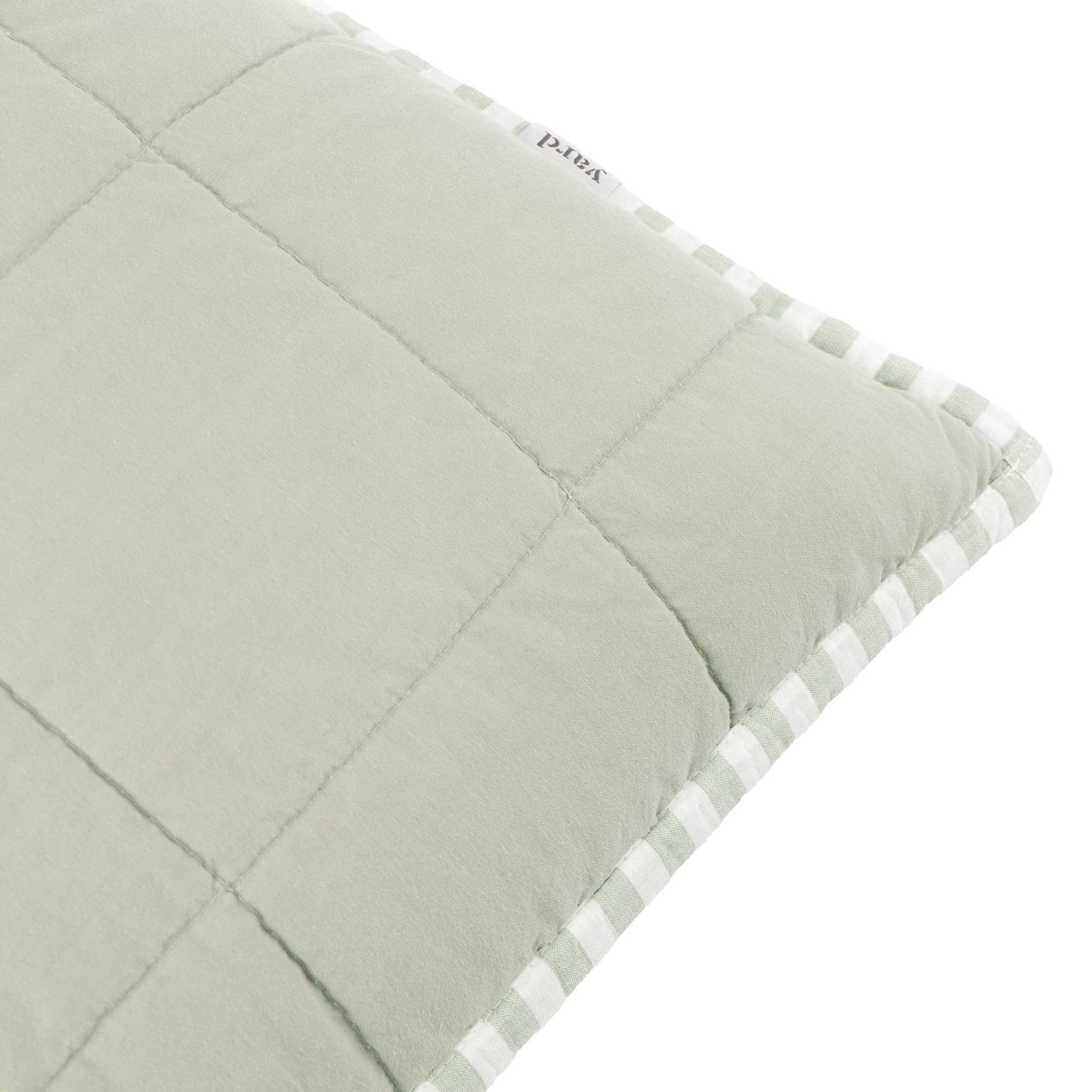 Hebden 100% Cotton Cushion Eucalyptus/Bay Green: Eucalyptus/Bay Green / Polyester Filled / 55 x 55cm