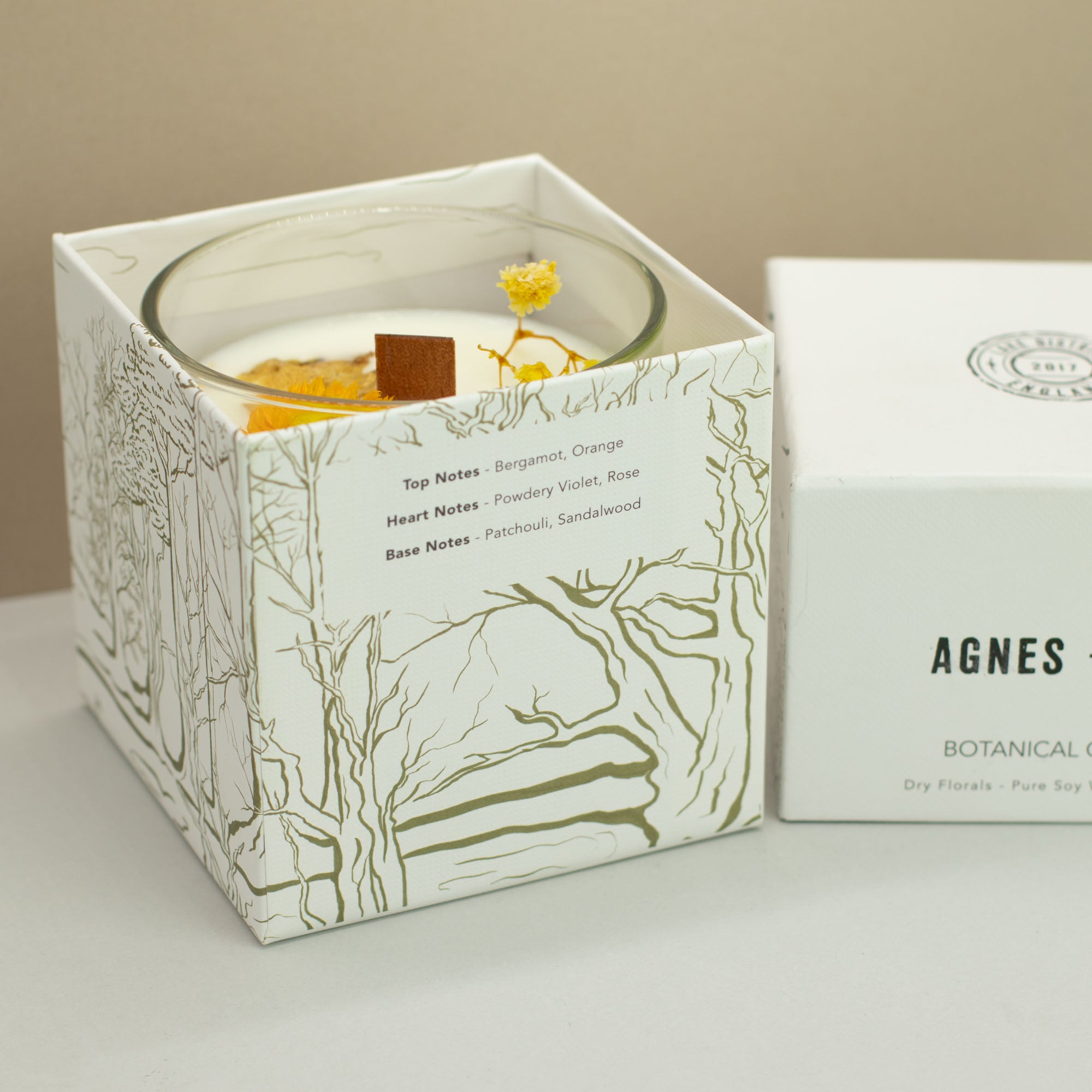 Candle in a decorative box with botanical design, featuring the brand 'AGNES'.