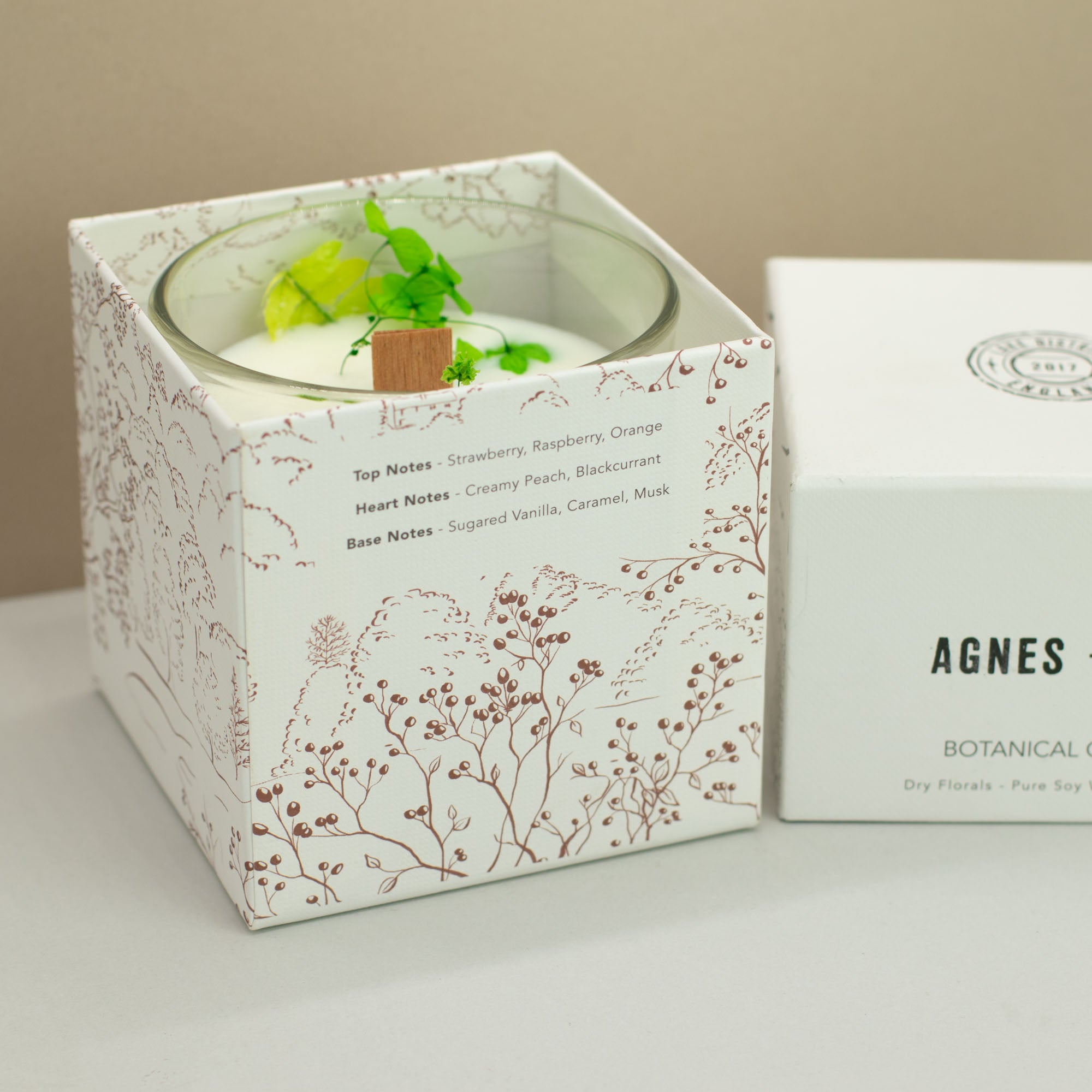 Candle in a decorative box with botanical design, next to a branded box on a neutral background