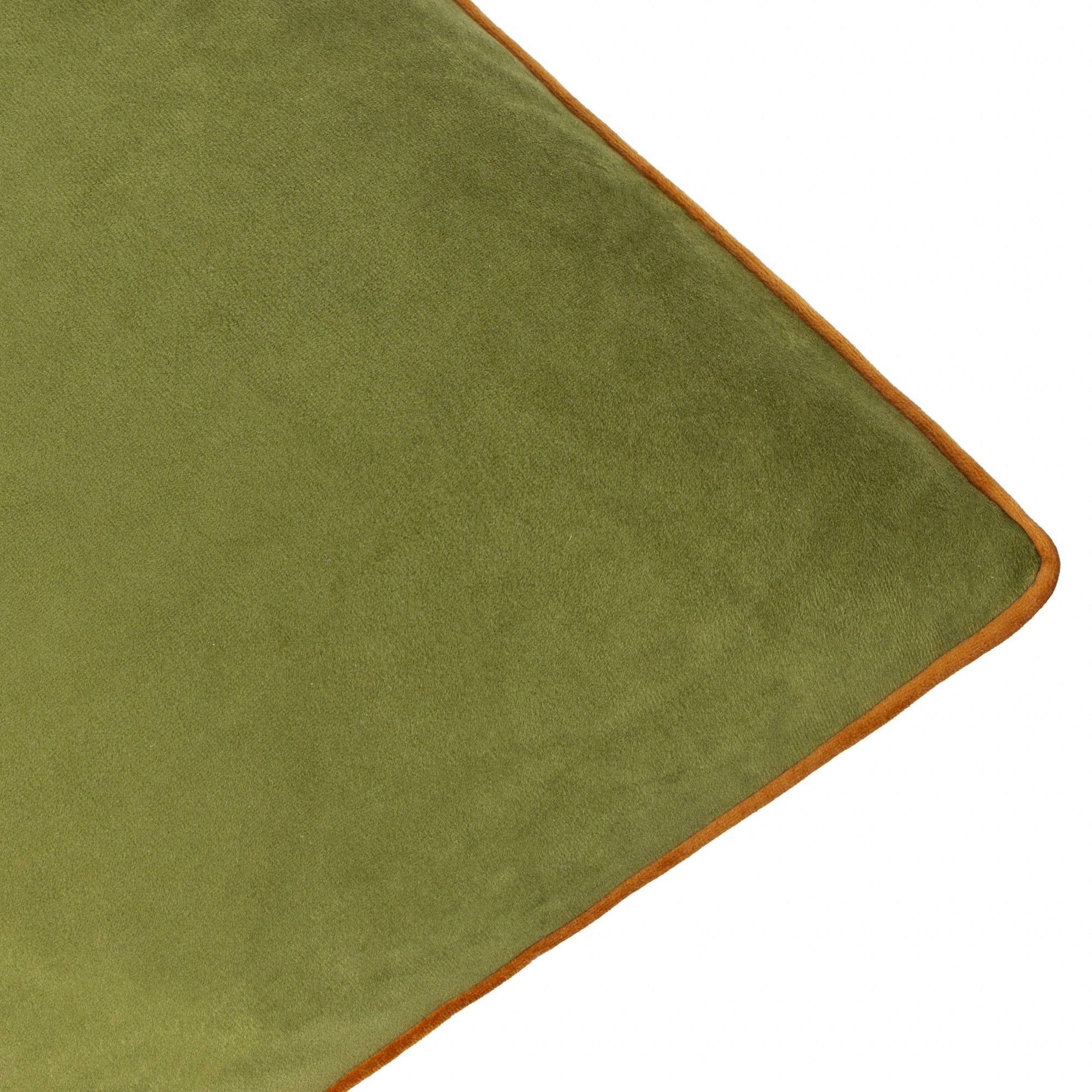 Green cushion  with a brown border on a white background