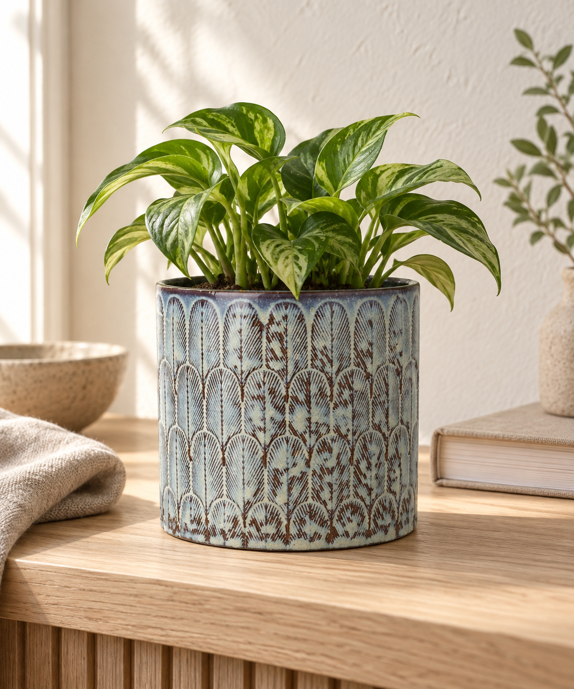 A green houseplant in a light blue and brown patterned ceramic pot, styled on a wooden table in a bright, sunlit room.