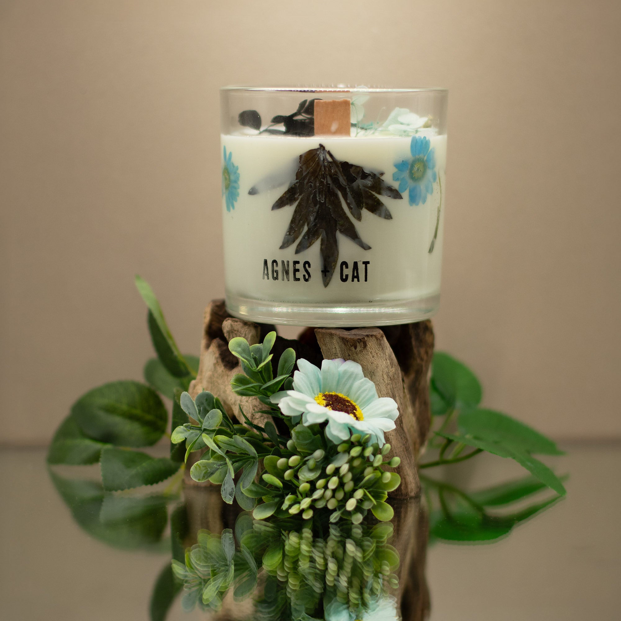 Candle with floral design and 'AGNES CAT' branding on a wooden block with plants.